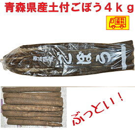 青森県産　土付　ごぼう　2L～3L　4kg　　送料無料！