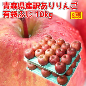 クール冷蔵便　青森県産　訳あり　スマートフレッシュ　クール便可！　りんご　有袋ふじ　22-46玉　10kg　送料無料！