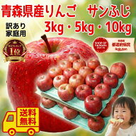 青森県産　りんご　サンふじ　訳あり　3・5・10kg　送料無料！