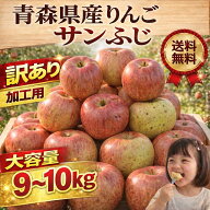 青森県産 りんご　訳あり（加工用）　サンふじ　生食可　9～10kg送料無料！