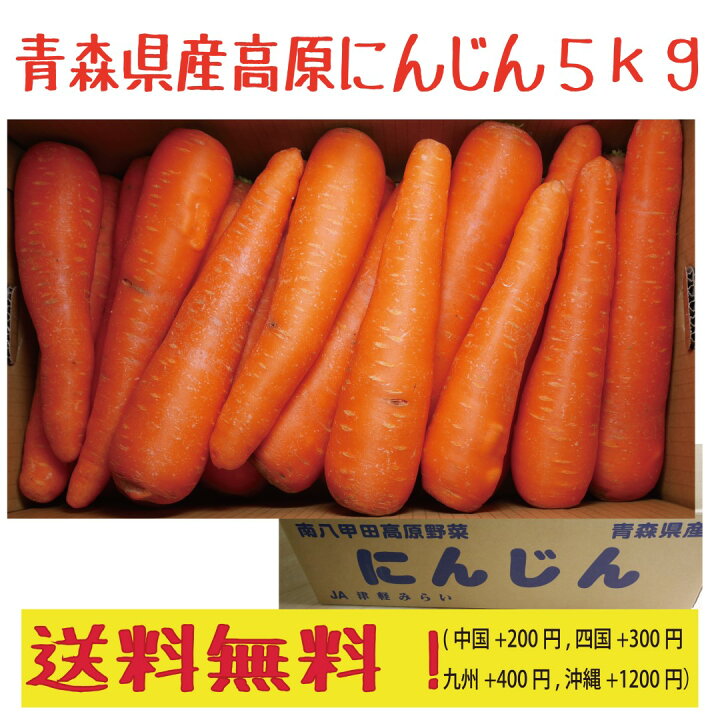 楽天市場 青森県産高原 にんじん 大 ５ｋｇ 八甲田高原野菜 送料無料 青い森の店