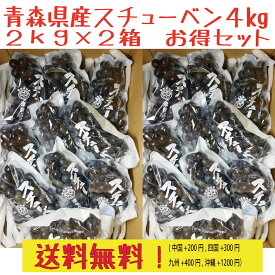 青森県産スチューベンぶどう ご家庭用　優品　4kg（2kg×2箱）　送料無料