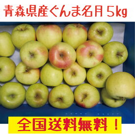 青森県産　りんご　ぐんま名月　訳あり　5kg