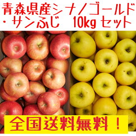 青森県産 りんご シナノゴールド・サンふじ 10kgセット　訳あり ご家庭用 送料無料！