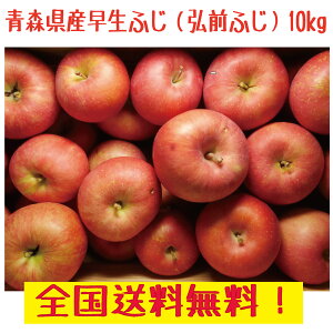 XY@OOӂ ƒp@30-50ʁ@@10kg 