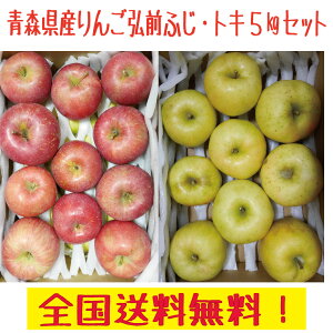 XY@񂲃Zbg5kg@OOӂ2.5kg+gL2.5kg@I