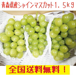 XY@VC}XJbg@ƒp@3-4[@1.5kg