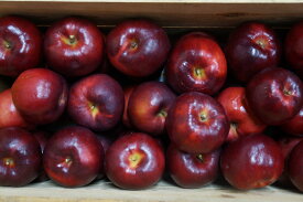 青森県産 りんご　紅の夢　訳あり　5kg　送料無料！