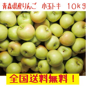 XY@񂲁@gL@ƒp@ʁ@10kg@S