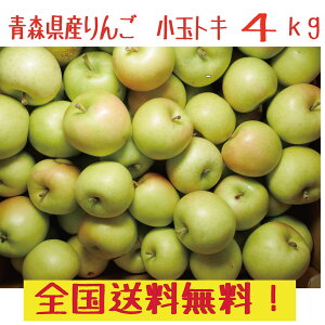 XY@񂲁@gL@ƒp@ʁ@18-25ʒx@4kg