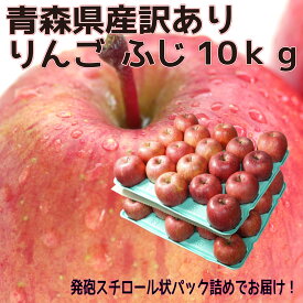 青森県産　訳あり　りんご　サンふじ　24-46玉　10kg　　送料無料！