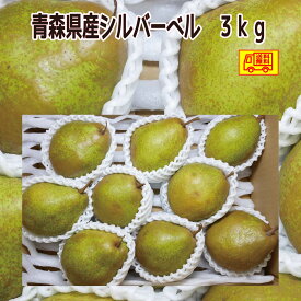 青森県産 洋梨 　シルバーベル　7~12玉　3kg