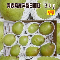 青森県産 洋梨 　日面紅（ひめんこ）7~14玉　3kg