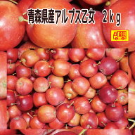 青森県産　アルプス乙女　2kg　りんご飴やハロウィンにも　送料無料！