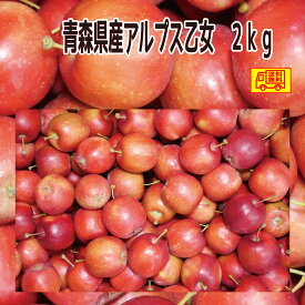 青森県産　アルプス乙女　2kg　りんご飴やハロウィンにも　送料無料！