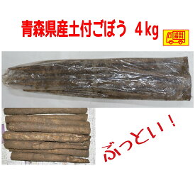 青森県産　土付　ごぼう　2～3L　4kg　　送料無料！