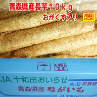 青森県産　長芋　家庭用　M-4L　10kg　洗浄済み　おがくず入り 送料無料！