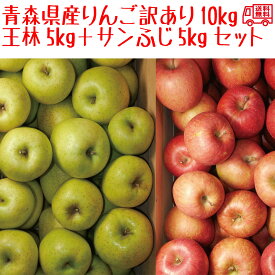 青森県産　りんご10kgセット　王林5kg15-25玉程度、ふじ5kg15-25玉程度