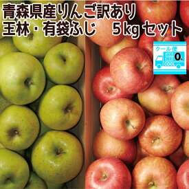 クール便込み！　青森県産りんご　王林・有袋ふじ5kgセット