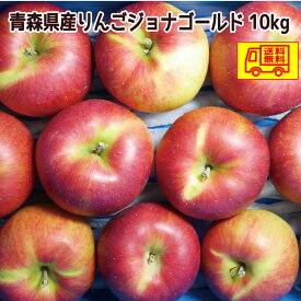 青森県産　りんご　ご家庭用　ジョナゴールド10kg　送料無料！