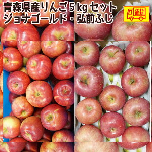 青森県産 りんご ご家庭用(訳あり)ジョナゴールド・弘前ふじ5kgセット 送料無料