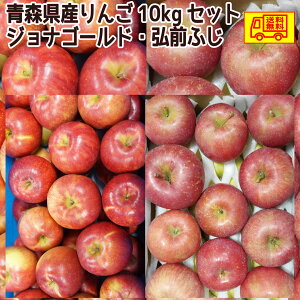 青森県産 りんご ご家庭用(訳あり)ジョナゴールド・弘前ふじ 10kgセット 送料無料