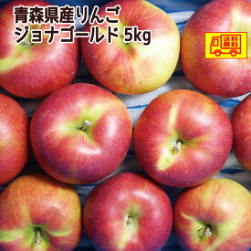 青森県産　りんご　ご家庭用　ジョナゴールド5kg　送料無料！