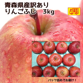 青森県産　家庭用（訳あり）　りんご3kg　サンふじ　パック詰め　7-13玉程度　送料無料！