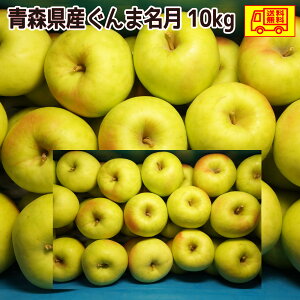 XY@񂲁@ܖ@󂠂@10kg@SI