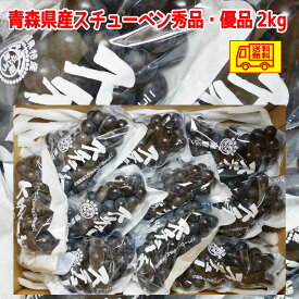 青森県産スチューベンぶどう　優品（ご家庭用）or　秀品（贈答・御歳暮等）　2kg　送料無料！