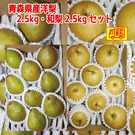 青森県産　洋梨2.5kg・和梨2.5kg　合計5kg　お得セット