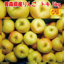 青森県産　りんご　ご家庭用　トキ　5kg　　送料無料！