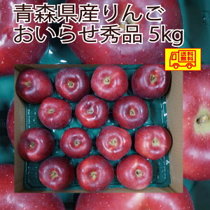 XY@񂲁@点@ɂ@Di@14`18ʁ@5kg@