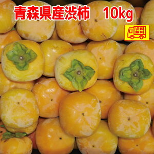 XY@˖`@a`@60-100O@10kg@`Ɂ@ I
