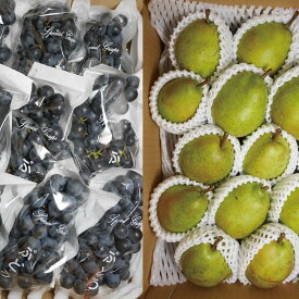 青森県産　洋梨ラ・フランス　 9-15玉　3kg　＋ぶどう　スチューベン優品2kg　 　お得セット　送料無料