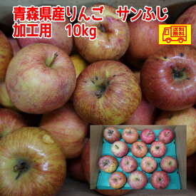 クール冷蔵便込み！青森県産　りんご　ふじ　加工用　10kg　生食可　送料無料！