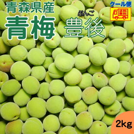 クール便 青森県産 青梅 豊後（ぶんご）2kg　送料無料！