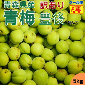 クール便送料無料！　青森県産　梅　豊後（ぶんご）　訳あり　5kg