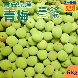 クール便 青森県産 青梅 豊後（ぶんご）5kg　送料無料！