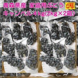 N[①ցIXY@Ԃǂ@Lx@12`24[@4kg(2kg×2j@ƒp@