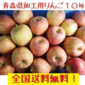青森県産 りんご　訳あり（加工用）　品種おまかせ　生食可　9～10kg送料無料！