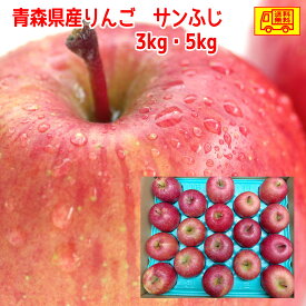 青森県産 りんご　訳ありご家庭用　サンふじ　3kg・5kg　パック詰め　クール便可