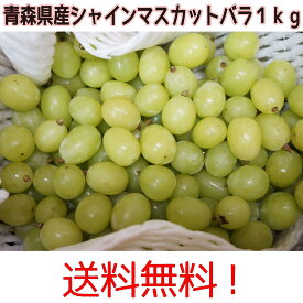 青森県産　シャインマスカット　訳あり　バラ　1kg　送料無料！