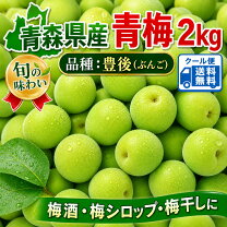 楽天市場】訳あり青梅（梅｜フルーツ・果物）：食品の通販