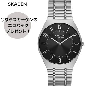 [スカーゲン] Watch Grenen Ultra Slim SKW6828 メンズ Silver