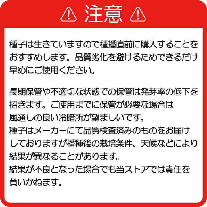 芝の種 西洋芝ペレニアルライグラス 園芸ネット プラス 園芸ネット芝の種 西洋芝ペレニアルライグラス Tecnomallas Com Ar