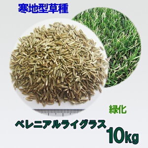 種 芝生の種の人気商品 通販 価格比較 価格 Com