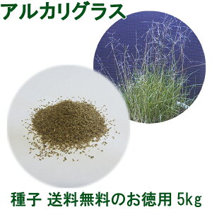 芝生 種の人気商品 通販 価格比較 価格 Com 芝生 種の人気商品 通販 価格比較 価格 Com