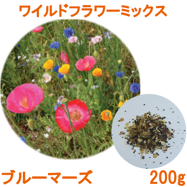 200gの播種量:100平米程度草丈約60cmの花種子ミックス ワイルドフラワーミックス 200g 贅沢 2021最新作 ブルーマーズ
