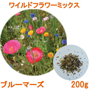 種 ポピーの人気商品 通販 価格比較 価格 Com